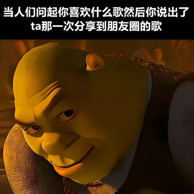图片上方有白色文字：'当人们问起你喜欢什么歌然后你说出了ta那一次分享到朋友圈的歌'，下方是动画电影《怪物史莱克》中主角史莱克的特写镜头。史莱克表情微妙，嘴角微微上扬，眼神略带狡黠，仿佛在暗示对分享歌曲的人有着特别的关注。整体通过文字与角色表情的结合，幽默地描绘了人们在提及喜欢的歌曲时，不自觉说出在意的人曾分享过的歌的微妙心理，引发共鸣。