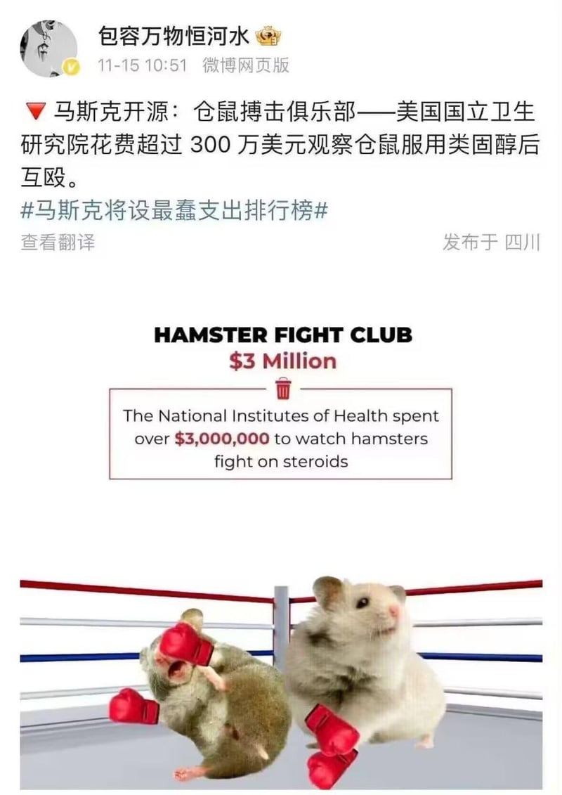 仓鼠