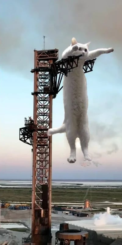 这是一张强烈视觉反差和幽默感的合成梗图。一只白色的大猫被P成像火箭一样悬挂在发射架上，画面夸张失真，营造“喵星人征服宇宙”或者“猫咪上天了”的戏谑氛围，非常适合玩梗和斗图。

图片通过强烈错位和比例夸张带来荒诞感，暗含动物也能“出征太空”的幽默设定。没有敏感、政治、低俗内容。