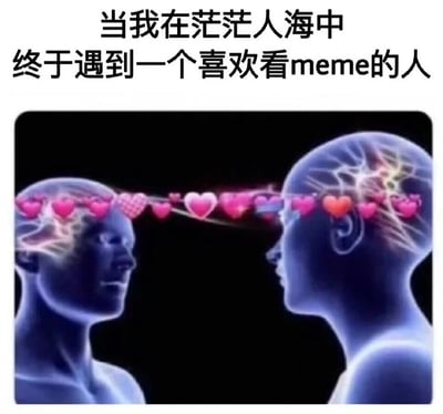 图片上方有文字'当我在茫茫人海中终于遇到一个喜欢看meme的人'，下方是两个人脑的侧面图像，两人面对面，大脑之间有一条由粉色和红色爱心组成的能量流连接，象征着meme爱好者之间的共鸣和心灵连接。