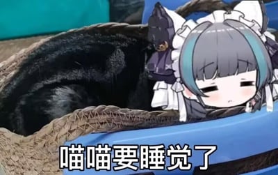 这是一张经过P图改编的静态合成梗图，画面中一只真实的黑猫正蜷缩在编织猫窝中准备休息，同时将手游《碧蓝航线》里角色柴郡的Q版犯困形象拼贴在猫窝边缘，角色双眼半睁，神情慵懒，下方配有白色加粗文字“喵喵要睡觉了”，用软萌的语气传递出想要休息、犯困的状态，整体画面治愈可爱，没有双关、谐音梗等特殊隐含内容。