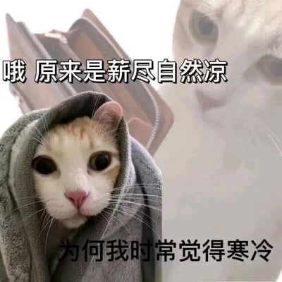 暂无描述