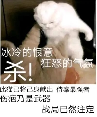 这是一张带有中二风格文字的猫咪梗图，画面主体是一只表情凶狠的白色猫咪，它眉头紧皱，身体前倾、前爪抬起，呈现出即将扑咬攻击的姿态，仿佛正处于极度愤怒的情绪中。图中搭配了多组夸张的战斗风格文字：“冰冷的恨意 狂怒的气氛 杀! 此猫已将己身献出 侍奉最强者 伤疤乃是武器 战局已然注定”，将猫咪普通的攻击行为夸张包装成一场严肃的效忠战斗，用可爱猫咪与中二严肃文字的反差感制造搞笑效果，常被用作表情包，用来表达愤怒、强势的情绪，或是在社交互动中玩梗。