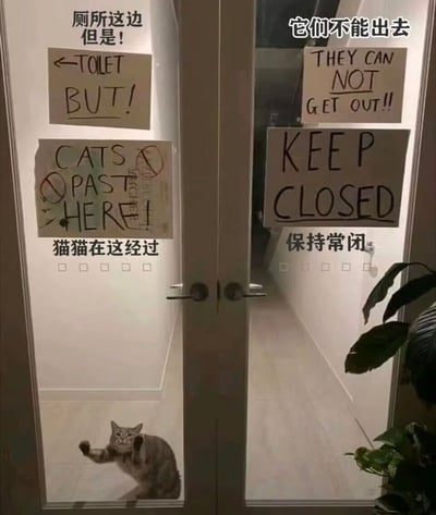 这是一张实拍的室内玻璃双开门照片，门所处的空间是允许养猫的办公场所。左侧玻璃门上从上至下依次标注有中文“厕所这边但是！”、手写英文告示“←TOILET BUT!”、画有禁止符号的手写英文告示“CATS NO PAST HERE!”，下方补充中文标注“猫猫在这经过”，左侧门的底部位置，有一只虎斑猫正蹲在门后，两只前爪抬起扒在玻璃上，抬头看向门外的方向，似乎想要出门。右侧玻璃门上从上至下依次标注有中文“它们不能出去”、手写英文告示“THEY CAN NOT GET OUT!!”、手写英文告示“KEEP CLOSED”，下方补充中文标注“保持常闭”，用来提醒进出的人员随手关门，防止猫咪跑出办公区域，门的右边缘还能看到部分绿植的叶片，整体场景充满生活化的趣味感。