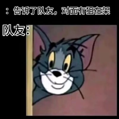 这是一张针对射击类游戏场景制作的搞笑表情包，采用图文混排的形式，上方文字为“告诉了队友，对面有狙在架”，下方搭配《猫和老鼠》里汤姆猫从墙角探出头的动画截图并标注“队友：”，生动调侃了游戏中常见的无奈场景——明明已经提醒队友对面有狙击手埋伏架枪，队友却依然不听劝阻，贸然探头暴露自身位置，精准戳中玩家遇到“猪队友”时又气又好笑的心情。
