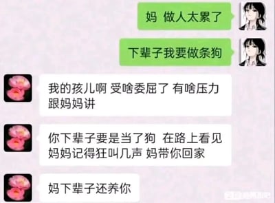 这是一段孩子与母亲的聊天记录截图，孩子以略带消极的语气向母亲倾诉“做人太累了，下辈子我要做条狗”，表达了当下的疲惫与压力。母亲没有进行说教，第一时间关心孩子是否受了委屈、有什么压力，随后用充满爱意的话语回应：如果孩子下辈子变成狗，看见自己要狂叫几声，会带孩子回家，还许下“下辈子还养你”的承诺，字里行间满是无条件的母爱与牵挂，这份跨越“下辈子”的温柔回应，戳中了人们内心最柔软的地方，传递出亲情的温暖与治愈感。