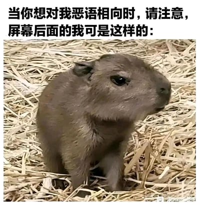 这是一张用于网络社交的表情包，上方配有文字“当你想对我恶语相向时，请注意，屏幕后面的我可是这样的：”，下方是一张真实拍摄的水豚幼崽照片，小水豚坐在干草堆上，眼神低落、神态委屈，看起来十分脆弱。这张图以软萌的方式，委婉地提醒网络交流的对象不要使用恶语，要顾及屏幕另一端的人的情绪，传递出希望被温柔、友善对待的诉求。