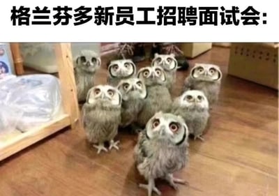 这是一张结合《哈利·波特》IP的搞笑梗图，顶部配有文字“格兰芬多新员工招聘面试会:”，图中是一群聚集在室内木质地板上的小猫头鹰，它们睁着圆溜溜的大眼睛，抬头张望，神态懵懂又带着期待感，被拟人化为前来应聘格兰芬多信使岗位的“新员工”，将魔法世界的设定和现实中可爱的动物形象结合，用职场招聘的场景制造出趣味反差，显得十分诙谐可爱。