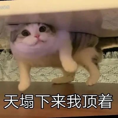 这是一张顶配底文的静态宠物表情包，画面主体是一只浅灰白相间的软萌猫咪，它的身体被桌子的边缘压住，仅露出圆圆的脑袋、两只前爪和部分下半身，猫咪睁着大大的圆眼睛，表情看起来无辜又带着一丝努力支撑的感觉。图片底部配有醒目的黑色中文文字“天塌下来我顶着”，将猫咪被桌沿压住、仿佛在支撑上方重量的画面，和文字表达的“愿意承担重任、为他人兜底”的态度结合，形成反差萌，用可爱的宠物形象弱化了扛事的沉重感，常被用于社交聊天场景中，趣味化地表达自己愿意承担责任、靠谱扛事的情绪。