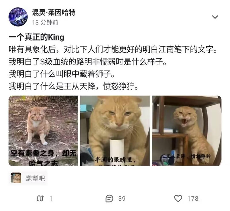 《龙族》