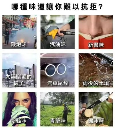 这是一张九宫格形式的多图拼接梗图，顶部配有文字“哪种味道讓你難以抗拒不？”作为主题。图片共分为3行3列，每格展示一种与特定气味相关的场景并配有中文标签：第一行从左到右分别是“鞭炮味”（春节鞭炮场景）、“汽油味”（手持加油枪）、“新书味”（人低头闻书）；第二行是“太阳晒过的被子”（户外晾晒的被子）、“汽车尾烟”（汽车排气管）、“雨后的土壤”（水滴入泥土）；第三行是“新鞋味”（人闻新鞋）、“青草味”（割草场景）、“锯沫味”（电锯锯木头）。整体风格贴近生活，通过视觉与文字结合引发人们对不同气味偏好的共鸣和讨论。