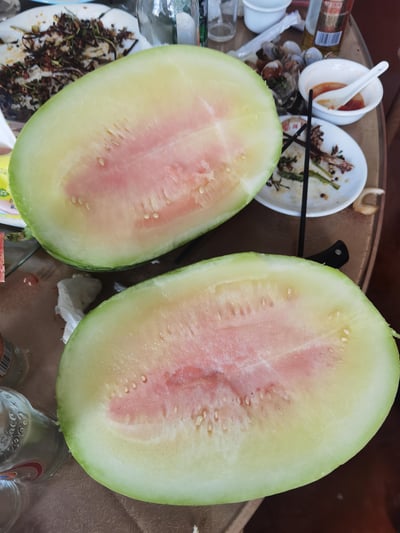 餐桌上摆着被切成两半的西瓜，瓜瓤只有中间一小片淡粉色，其余大部分都是黄绿的未成熟状态，妥妥的生瓜。周围散落着吃剩的餐盘、空酒杯、调料碗和饮料瓶，明显是聚餐后准备吃水果，结果踩雷买到没熟西瓜的日常场景。