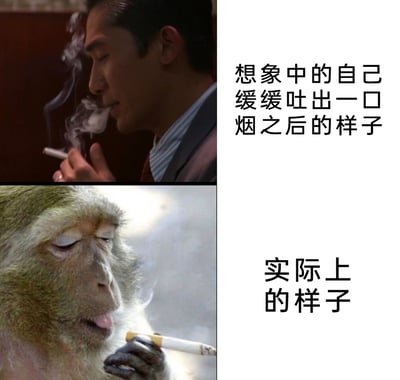 这是一张通过上下对比制造幽默效果的搞笑梗图。上方是梁朝伟在影视作品中手持香烟、缓缓吐烟的帅气画面，配文“想象中的自己缓缓吐出一口烟之后的样子”，呈现出人们想象中自己抽烟时慵懒帅气的形象；下方是一只叼着香烟、眯眼吐舌、表情滑稽的猴子，配文“实际上的样子”，调侃现实中自己抽烟时的样子和想象中的帅气形象有着巨大反差，用夸张的对比凸显理想与现实的差距，制造出诙谐的笑点。