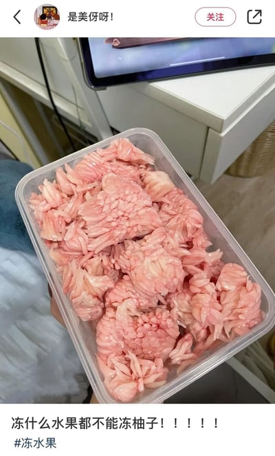 这是一张生活分享类社交平台的截图，画面主体是一只手拿着的透明塑料盒，盒内装着冷冻后的粉色柚子肉，由于冷冻的影响，柚子肉的形态发生了怪异的变化，纹理扭曲收缩，视觉上酷似生肉，观感有些违和。图片顶部显示发布者账号为“是美伢呀！”，图片下方配有文字“冻什么水果都不能冻柚子！！！！！”以及话题标签“#冻水果”，通过实拍的方式分享了冷冻柚子后出现的离谱外观，以此提醒其他网友不要尝试这个操作。