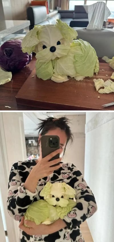本图由两部分组成，上半部分是一只用大白菜叶子和部分蔬菜、假眼珠组合成的小狗造型，逼真又极富创意；下半部分是一名穿着奶牛睡衣的人手抱着这只“白菜狗”，姿态仿佛真在抱狗一样，十分有趣。整体画面充满生活气息和幽默感，属于创意类手工恶搞梗图，适合用来表达日常无聊、自娱自乐的氛围，或者对“缺狗家庭”的戏谑。无明显双关梗，但有“白菜狗”谐音梗之感，调侃了想养狗但只能diy的幽默心理。