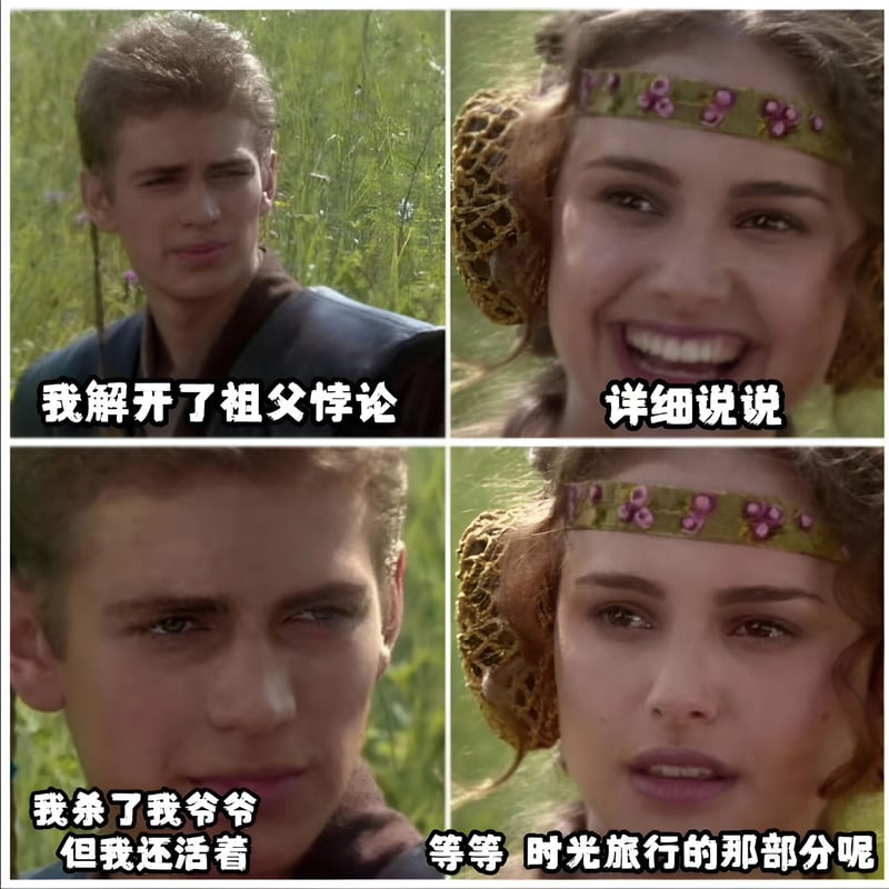 帕德梅·阿米达拉