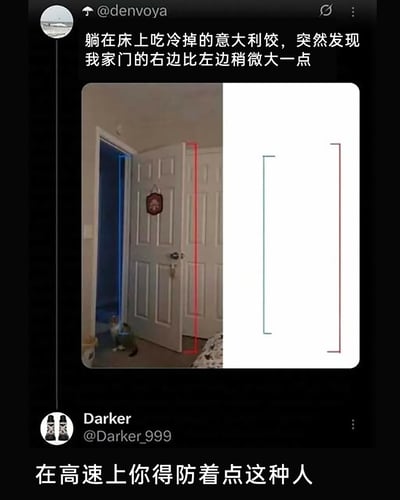 这是一张来自国外社交平台的截图，用户@denvoya发布动态称自己躺在床上吃冷意大利饺时，发现自家房门的右边比左边稍微大一点，并配上了一张标注了红蓝线条的房门照片，照片中半开的门后还有一只蹲坐的猫咪正看向镜头；另一位用户@Darker_999在下方评论玩梗，调侃这种会被视觉错觉误导的人在高速上开车存在安全隐患，需要提防。实际上这是拍摄角度造成的透视错觉，房门本身左右是正常的，并非真的存在大小差异。