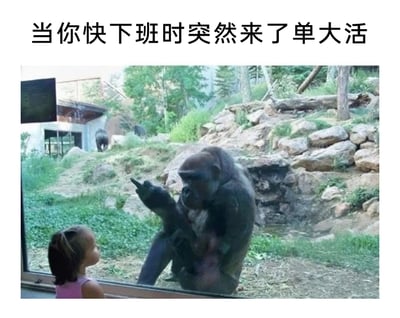 这是一张用于吐槽职场现状的梗图，图片上方配有文字“当你快下班时突然来了单大活”，主体画面是动物园的场景：一只大猩猩隔着玻璃，对着玻璃外抬头看它的小女孩竖起中指，大猩猩表情烦躁，动作充满了不满与愤怒；小女孩则一脸疑惑地抬头看向大猩猩。这张图将大猩猩的烦躁反应类比为职场人在快下班时接到紧急工作任务的崩溃、愤怒情绪，精准戳中了职场人面对临时加活、被迫加班的无奈与不满，是职场人宣泄负面情绪的代表性梗图。