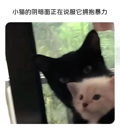 图片中展示了两只小猫，一只黑色小猫和一只浅色小猫，黑色小猫似乎正靠近浅色小猫。图片上方配有文字“小猫的阴暗面正在说服它拥抱暴力”，通过可爱的猫咪形象与夸张的“阴暗面”文字形成幽默反差，营造出戏谑搞笑的效果。