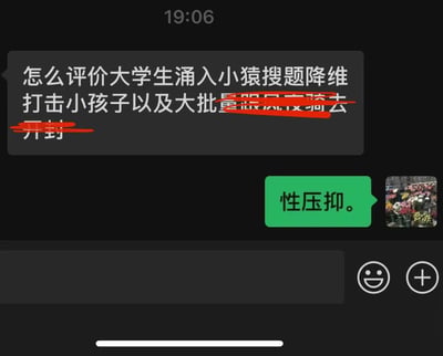 这是一张聊天记录截图，显示了一段关于大学生使用小猿搜题的对话。上方消息询问如何评价大学生涌入小猿搜题降维打击小孩子以及大批量跟风去骑去开封，其中部分文字被红色笔划掉。下方绿色消息框简单回复"性压抑。"，旁边配有一张花卉图片。