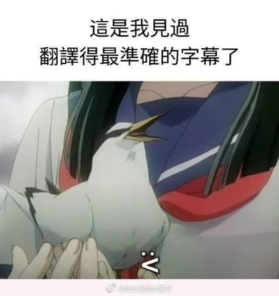 图片上方有文字‘這是我見過翻譯得最準確的字幕了’，下方是动漫截图，画面中一位穿着和服风格服装的角色双手捧着一只白色小鸟，小鸟嘴巴张开，似乎在鸣叫。整体构成一个幽默梗图，通过反差暗示所谓‘准确翻译’的笑点，实际是利用小鸟鸣叫无法被翻译的场景制造讽刺幽默。