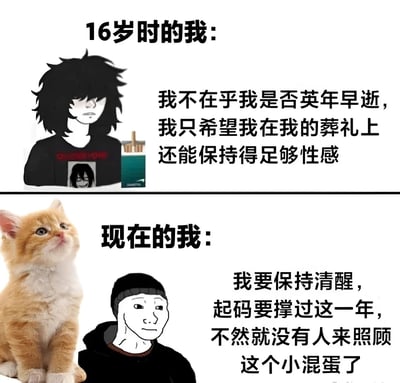 这是一张上下对比的拼接梗图，通过两个场景展现年龄增长带来的心态变化。上图标题为'16岁时的我'，左侧是一个黑发凌乱、表情冷峻的动漫风格人物，穿着印有头像的黑色T恤，旁边配有文字'我不在乎我是否英年早逝，我只希望我在我的葬礼上还能保持得足够性感'，体现了青少年时期的叛逆与夸张想法。下图标题为'现在的我'，左侧是一只抬头看的橘猫，旁边是一个穿着连帽衫、表情平静略带无奈的简笔画风格人物，文字内容为'我要保持清醒，起码要撑过这一年，不然就没有人来照顾这个小混蛋了'，展现了成年后因责任感（尤其是对宠物的照顾）而变得务实的心态。整体通过幽默对比引发共鸣。