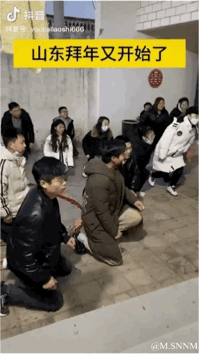 这是一段竖屏GIF动图，记录了山东地区春节期间的拜年名场面：一群年轻人在室内的水泥地面上，依次跪地进行拜年，前方的人已经跪好，后方的人正陆续下跪。图上方的黄色醒目文字标注“山东拜年又开始了”，直观展现了山东地区独特且隆重的春节拜年习俗，这种颇具仪式感的年俗在社交媒体上引发关注，让网友感受到当地浓厚的过年氛围。