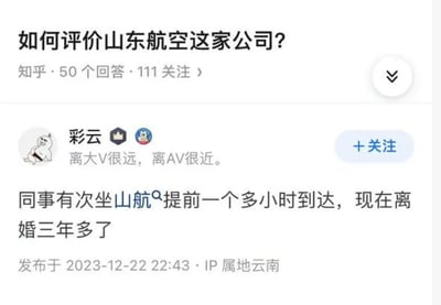 这是一张知乎平台的问答页面截图，页面顶部显示问题“如何评价山东航空这家公司？”，并标注该问题有50个回答、111人关注。知乎用户“彩云”发布了一个搞笑的回答，内容包含谐音梗和夸张段子：先是用“离大V很远，离AV很近”的谐音（这里的“AV”谐音“航空母舰”，用来调侃山东航空飞行效率高，如同航母般强劲），接着用“同事有次坐山航提前一个多小时到达，现在离婚三年多了”的夸张段子，暗示因为航班提前抵达，同事提前回家后发现了婚姻中的问题导致离婚，以此调侃山东航空的航班经常准点甚至大幅提前到达的特点。该回答发布于2023年12月22日22:43，IP属地为云南，用户头像是一个坐着的卡通胖猫形象。