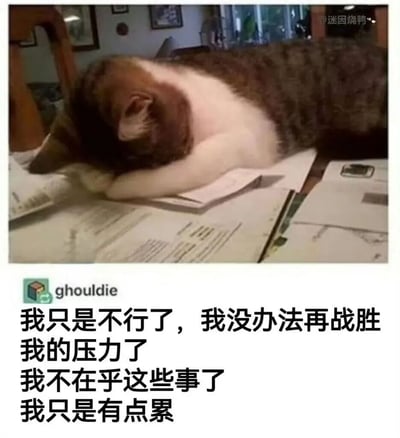 图片上半部分是一只棕白相间的猫咪，正趴在一堆文件上，将头埋进前爪中，姿态显得十分疲惫。图片下半部分有一段文字：“我只是不行了，我没办法再战胜我的压力了 我不在乎这些事了 我只是有点累”。这张梗图通过猫咪慵懒疲惫的姿势与文字内容相结合，拟人化地表达了人们在面对压力时感到无力、想要放弃的情绪，容易引发共鸣。
