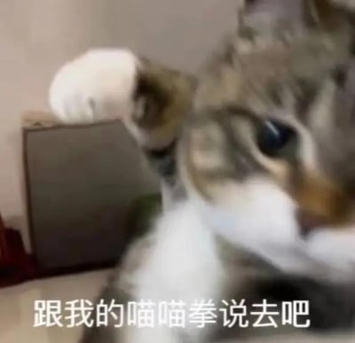一只灰白相间的猫咪正抬起前爪，眼神专注地看向镜头，仿佛在准备使出“喵喵拳”。图片底部配有文字“跟我的喵喵拳说去吧”，将猫咪挥爪的动作拟人化为可爱的攻击姿态，整体氛围俏皮又萌趣。