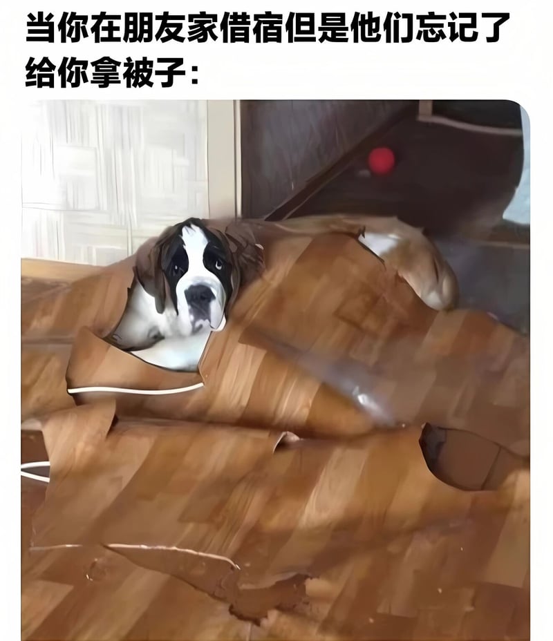 狗