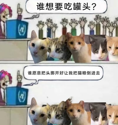 这是一张上下两格的连环梗图，上半部分中，卡通喂食者站在台上发问“谁想要吃罐头？”，五只猫咪立刻急切地把脑袋凑到食盆位置，背景里还有许多举手的手，直观表现出猫咪们对食物的渴望；下半部分喂食者接着说道“谁愿意把头挪开好让我把猫粮倒进去”，猫咪们依旧保持着脑袋凑在食盆的姿势，丝毫没有要挪开的意思，生动还原了猫咪看到食物就迫不及待凑上前，完全无视喂食需求的真实日常，通过前后的反差营造出满满的搞笑感，精准戳中养猫人的共鸣点。