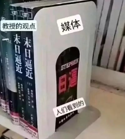 这是一张通过实物场景搭建的讽刺类文字加注静态图，图中用一本名为《末日逼近》的书代表完整的、严肃的“教授的观点”，用挡在书前的书立代表“媒体”，书立的镂空部分恰好露出书名里的“逼”字，这个被截取的片面内容被标注为“人们看到的”。该图以此隐喻现实中部分媒体在传播信息时，不会完整呈现信息全貌，反而刻意截取、放大其中博眼球、有争议的片面内容传递给大众，导致大众接收到的信息是扭曲、不完整的，讽刺了媒体的片面传播行为。