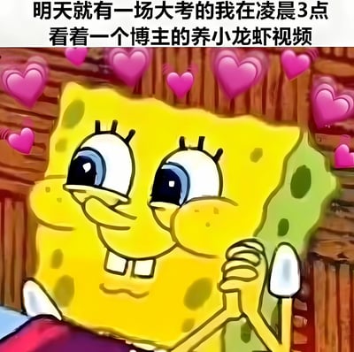 图片上方配有文字“明天就有一场大考的我在凌晨3点看着一个博主的养小龙虾视频”，下方是卡通角色海绵宝宝的形象。海绵宝宝双眼睁大，眼神痴迷，嘴角上扬露出牙齿，双手托腮，周围环绕着多个粉色爱心，生动展现了考前本该复习却沉迷无关视频的拖延状态，充满幽默与共鸣感。