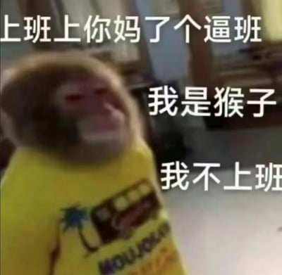 这是一张用来吐槽上班的梗图，画面主体是一只穿着黄色带图案上衣的真实猴子，猴子神态烦躁，身体呈现出抗拒的姿态。图中添加了三段直白又暴躁的文字：“上班上你妈了个逼班”“我是猴子”“我不上班”，用夸张的语气将打工人不想上班的负面情绪直接宣泄出来，通过把自己比作不用上班的猴子，表达对职场工作的抗拒和逃避心态，没有双关、谐音梗等隐含内容，就是直白的情绪输出，很容易引发打工人的共鸣。