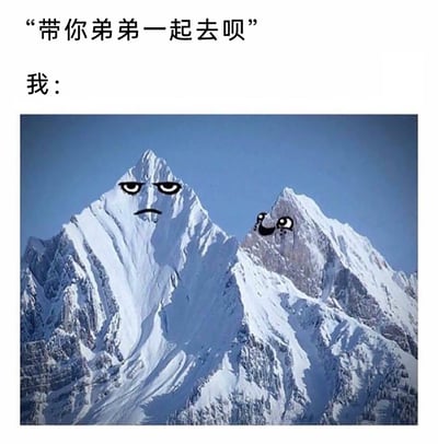 这是一张趣味改编的表情包，上方配有文字“带你弟弟一起去呗”，下方的两座雪山被添加了拟人化表情：左侧的大雪山对应“我”，呈现出生无可恋、满脸无奈的神情；右侧的小雪山对应“弟弟”，是兴奋、期待的表情。该图生动还原了家庭中被要求带着弟弟出门时，本人的不情愿与弟弟的开心形成的鲜明对比，用拟人化的方式放大了这种日常的无奈感，充满搞笑氛围，很适合用来调侃这类家庭场景。