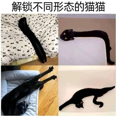 这张图片展示了四只黑猫在不同场景下的伸展姿势，呈现出猫咪的各种有趣形态。左上角的黑猫全身伸展躺在床上，右上角的黑猫身体拉长成U形趴在白色物体上，左下角的黑猫四脚朝天躺在沙发上，右下角的黑猫身体扭曲成独特的形状。