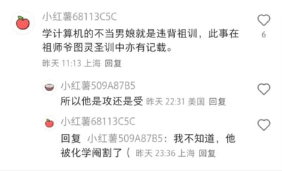 这是一张小红书平台的评论区截图，展示了两条用户评论及其回复。第一条评论称“学计算机的不当男娘就是违背祖训，此事在祖师爷图灵圣训中亦有记载”，第二条评论询问“所以他是攻还是受”，随后第一条评论的用户回复“我不知道，他被化学阉割了”。内容涉及对计算机科学先驱图灵的调侃，其中“化学阉割”可能影射图灵的历史遭遇。