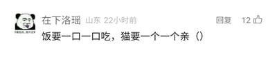 这是一张社交媒体评论截图，左上角是一个搞怪风格的熊猫头表情包，表情包下方配有文字“你害怕点，我不正常”。右侧展示了评论用户“在下洛瑶”的相关信息，标注其来自山东，评论发布于22小时前，评论内容为“饭要一口一口吃，猫要一个一个亲”，该评论获得了12个点赞，同时设有回复按钮。这句话模仿了“饭要一口一口吃，路要一步一步走”的经典句式，用软萌的语气表达了爱猫人士想要挨个亲近猫咪的可爱心情，不存在双关、谐音梗或其他暗示内容。