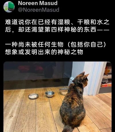 这是一张来自推特（X）的社交媒体截图，顶部显示用户Noreen Masud的账号信息，下方配有一段充满幽默感的吐槽文字，内容为调侃猫咪在已经拥有湿粮、干粮和水的情况下，却依然表现出渴望某种从未被设想或发明出来的神秘食物的状态。截图下半部分是实拍照片：一只玳瑁猫坐在室内的木地板上，面前整齐摆放着三个金属碗，分别盛放着湿粮、清水和干粮，但猫咪却背对着这些食物，扭头看向画面右侧，完全没有关注眼前的食物，这一画面完美呼应了上方的吐槽文字，精准捕捉到猫咪让人捉摸不透的迷惑进食行为，能够引发广大养猫人群的强烈共鸣，十分生动有趣。