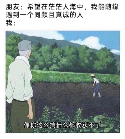这是一张具有讽刺和调侃意味的网络梗图，通过对话与动画场景的结合，表达了对“随缘等待”情感态度的否定。朋友表达了想要随缘在人海中遇到同频且真诚之人的期待，而“我”则用农耕场景回应，将“随缘遇人”类比为不播种就想收获的行为，配文“像你这么搞什么都收获不了”，直白地指出只靠等待而不主动经营、付出，是无法获得想要的真诚关系的，传递出“想要收获需要先主动付出行动”的生活感悟。