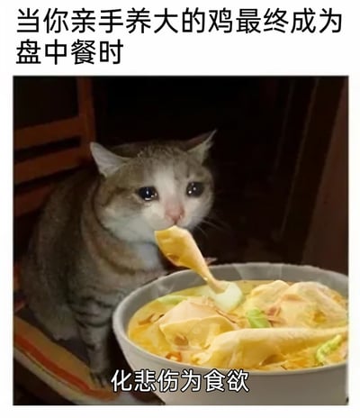 这是一张经过图像合成的搞笑表情包，图中是一只灰白花纹的猫咪，它双眼含泪，满脸悲伤委屈，嘴里叼着一个鸡腿，面前摆放着一碗盛满食材的鸡肉汤。图片上方配文“当你亲手养大的鸡最终成为盘中餐时”，下方配文“化悲伤为食欲”，以拟人化的手法，塑造出一个虽然对亲手养大的鸡被做成食物感到难过，却又抵挡不住美食诱惑，一边悲伤一边进食的矛盾又滑稽的形象，常用于调侃自己在面对不舍但又难以拒绝的欲望时的复杂心情。