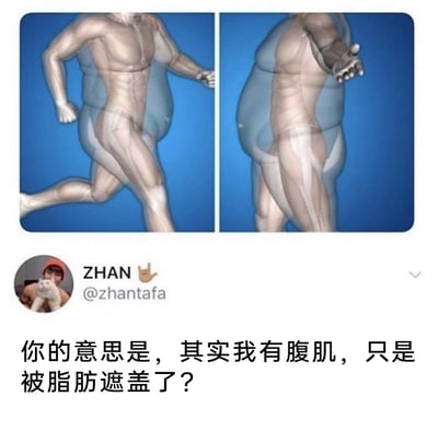 这是一张搞笑自嘲梗图，上方是左右两张3D对比示意图：左侧是拥有清晰肌肉线条的人物呈跑步姿态，身体外覆盖着一层肥胖体型的轮廓；右侧是肥胖体型的人物，其内部的肌肉线条显得松弛无力。中间是X（原Twitter）用户ZHAN（@zhantafa）的账号截图，下方配文“你的意思是，其实我有腹肌，只是被脂肪遮盖了？”，用幽默的方式调侃肥胖人群的自我安慰心态，既呼应了“腹肌被脂肪掩盖”的常见说法，又通过右侧的图暗讽这种自我安慰——脂肪不仅会遮盖腹肌，还会让肌肉因缺乏锻炼失去原本的紧致状态。