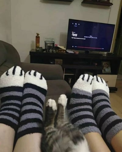 前景中，一双穿着灰白条纹猫爪袜的脚搭在沙发上，袜子前端有黑色“猫爪”图案。两脚之间，一只灰白相间的猫咪仰卧着，爪子向上抬起，显得十分放松。背景里，黑色电视柜上的电视正播放着带有“ANIME”字样的画面，屏幕下方有红色进度条。电视柜上摆放着花瓶、相框、小摆件等杂物，墙上还装有简易搁板，整体呈现出温馨舒适的居家氛围。