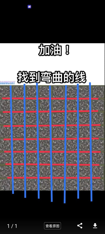 这是一张视觉挑战类图片，画面主体是由灰色方块组成的网格背景，上面叠加了多条蓝色竖线和红色横线。图片顶部有醒目的文字提示“加油！找到弯曲的线”，引导用户在看似都是直线的图案中寻找唯一的曲线。这种设计利用了视觉错觉原理，让用户需要集中注意力才能发现隐藏的弯曲线条。