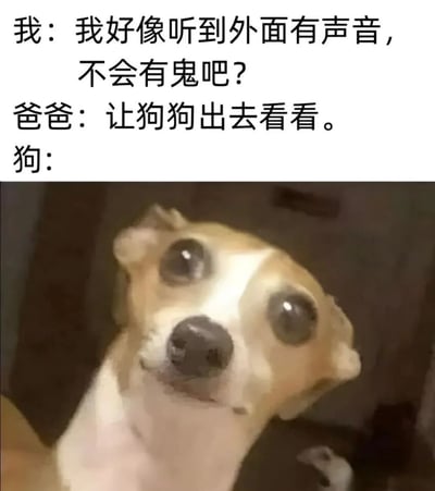 图片上半部分是三段对话文字：“我：我好像听到外面有声音，不会有鬼吧？”“爸爸：让狗狗出去看看。”“狗：”，下半部分是一张狗狗的特写照片，狗狗瞪着又大又圆的眼睛，表情看起来既惊讶又有些害怕，仿佛对要去查看“声音”这件事感到恐惧。通过文字和狗狗表情的反差制造幽默效果。