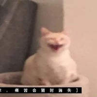 猫缩略图