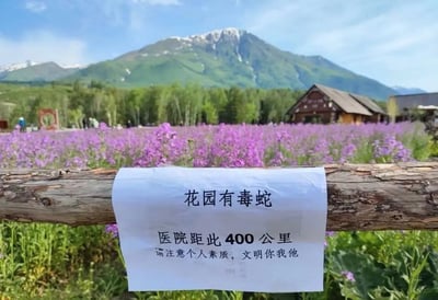 一张拍摄于壮美自然风光中的图片，前景是一片紫色花海、木围栏和警告纸条，远方有雪山和木屋。警示内容“花园有毒蛇，医院距此400公里，请注意个人素质，文明你我他”与美丽环境强烈反差，幽默地劝退游客。医院距离极远、加之提醒文明素质，形成讽刺与搞笑效果。
双关/暗示：实际暗示“出事了没人救，责任自负”，突出野外危险和自我负责。语句“文明你我他”也经常成为网络调侃热词。