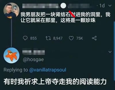 社交媒体截图显示某用户发布离谱言论，称“男朋友把肾结石射进洞里，让它变成珍珠”，内容存在明显低俗性暗示。下方有网友回复“有时我祈求上帝夺走我的阅读能力”表达无语。帖子互动量较高，显示有855条评论、8947次转发和7.5万点赞。