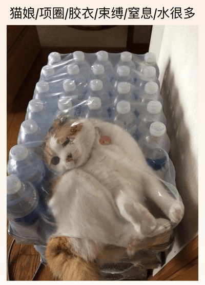 一只白色和橘色相间的猫躺在一整包瓶装水上，猫咪表情放松，四肢伸展。图片上方有一行文字：“猫娘/项圈/胶衣/束缚/窒息/水很多”，这些词汇原本带有成人向暗示，但在这张图中被用来搞笑地描述猫咪被瓶装水“包围”的状态，形成反差萌的幽默效果。其中“水很多”既指实际的瓶装水，也在网络用语中有暗示意义，这里主要取字面意思制造笑点。